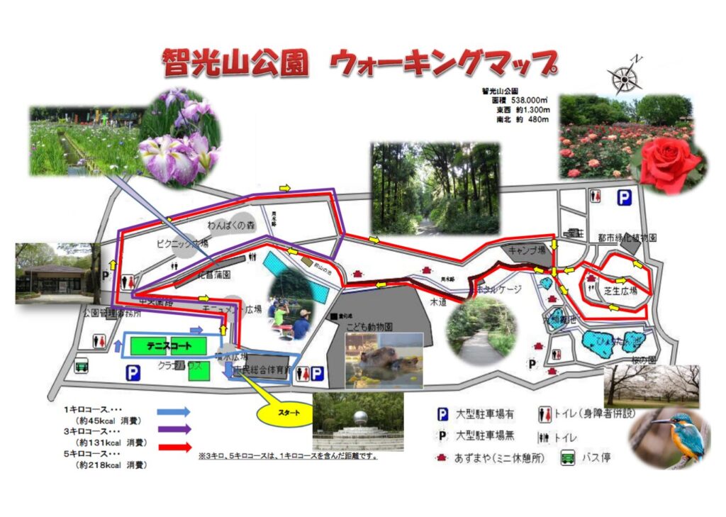 智光山ウォーキングマップ