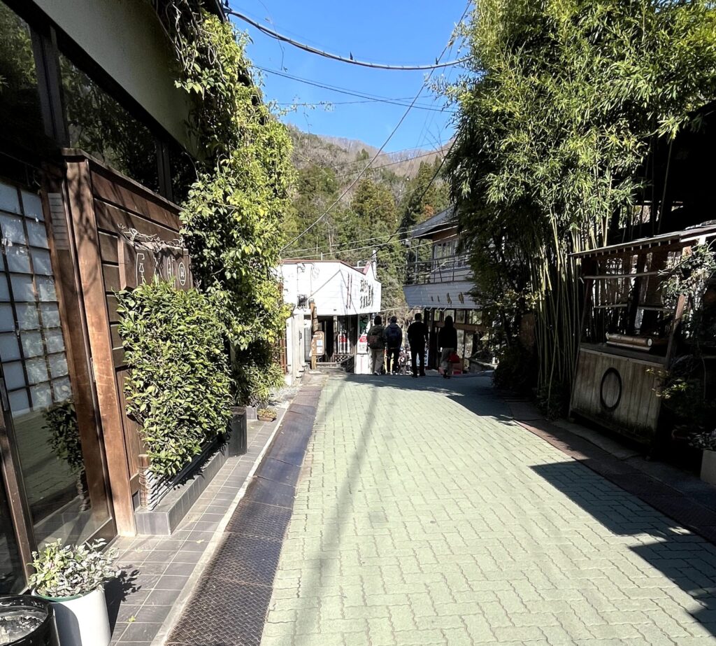岩畳へ続く商店街を撮影
