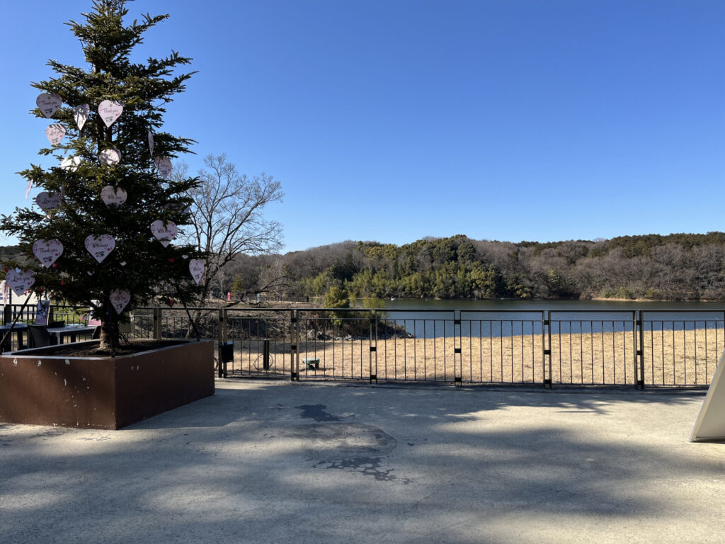 メッツァビレッジ