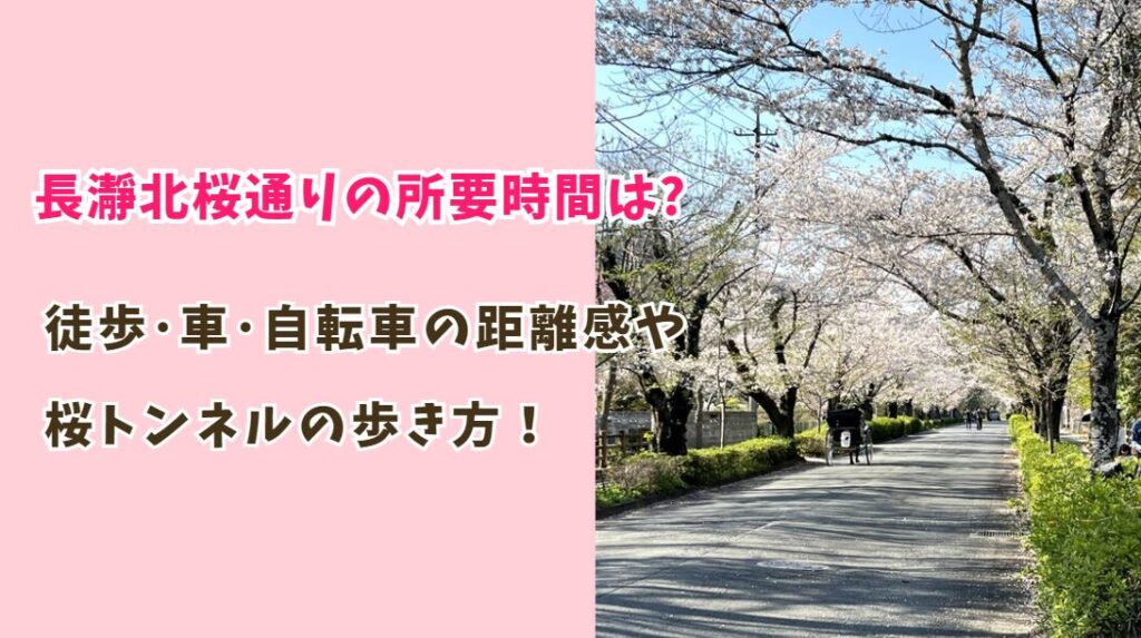 長瀞北桜通りの所要時間は？徒歩･車･自転車別の距離感と桜トンネルの歩き方！