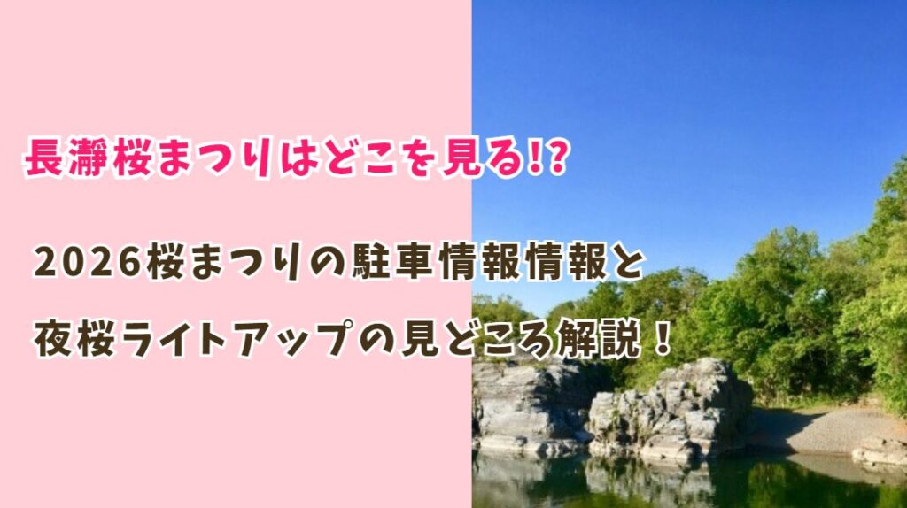 2026長瀞桜まつりはどこを見る!?駐車場情報と夜桜ライトアップの見どころ解説