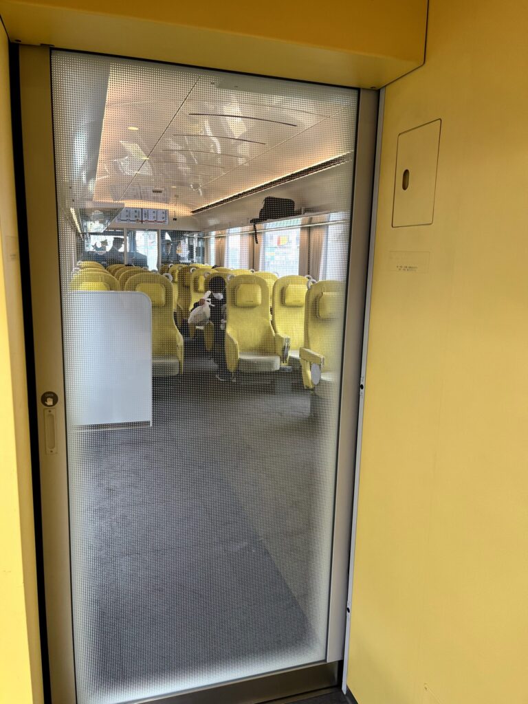 ラビューの車内写真