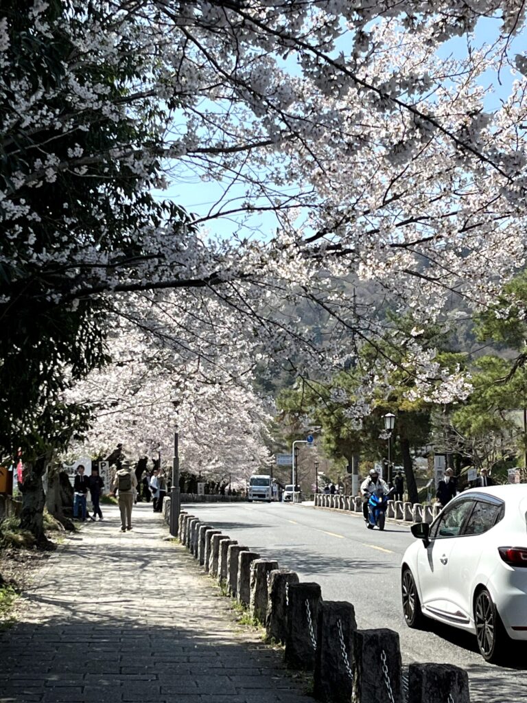 宝登山神社参道:2026.4.3撮影