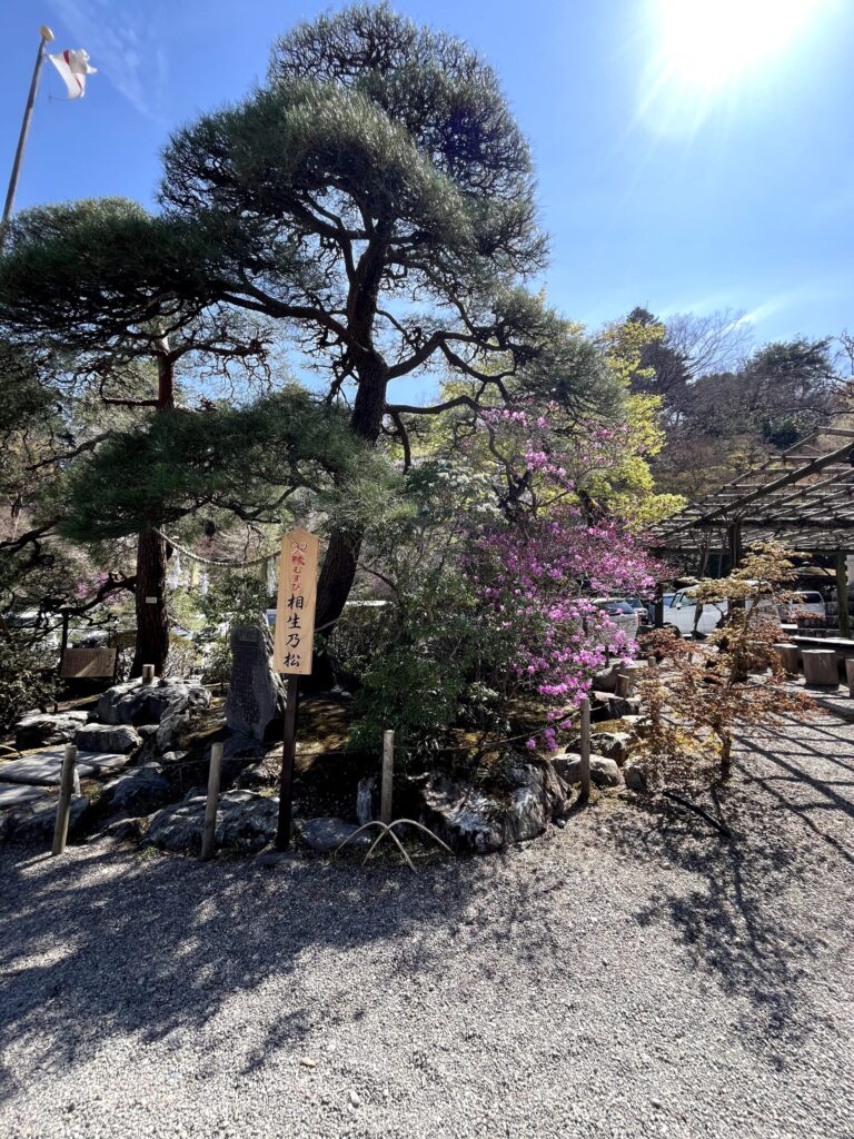 宝登山神社：2026.4.3撮影