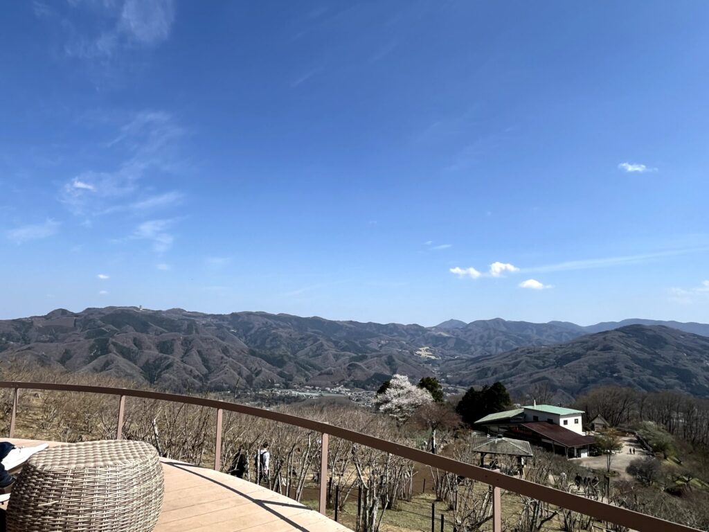 スサビノテラス：2026.4.3