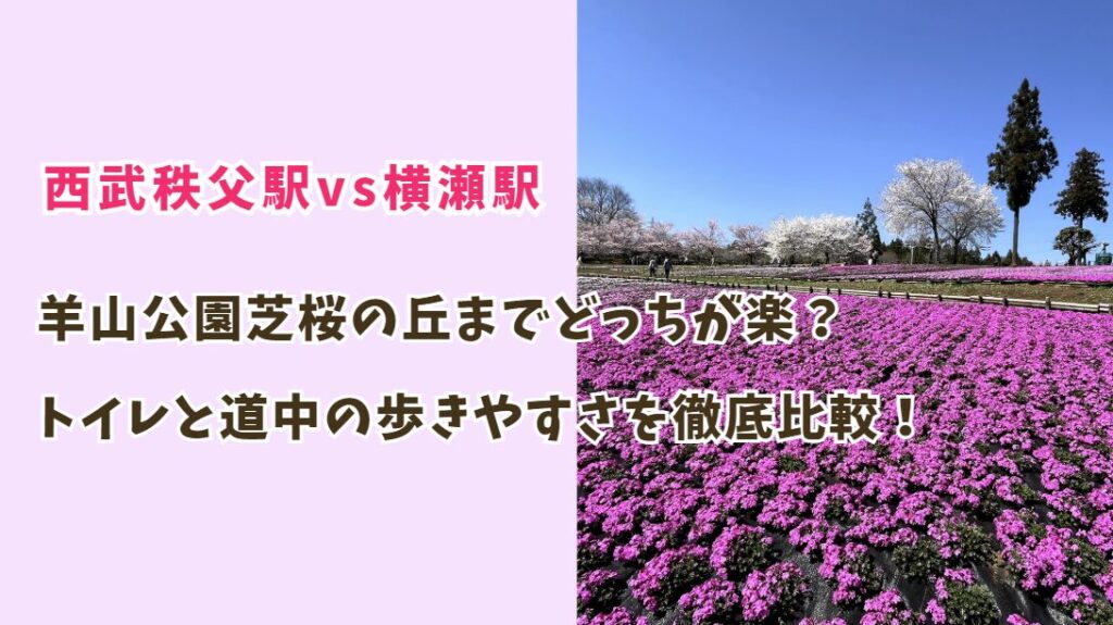 西武秩父駅vs横瀬駅！芝桜の丘までどっちが楽？トイレ･道中の歩きやすさを徹底比較