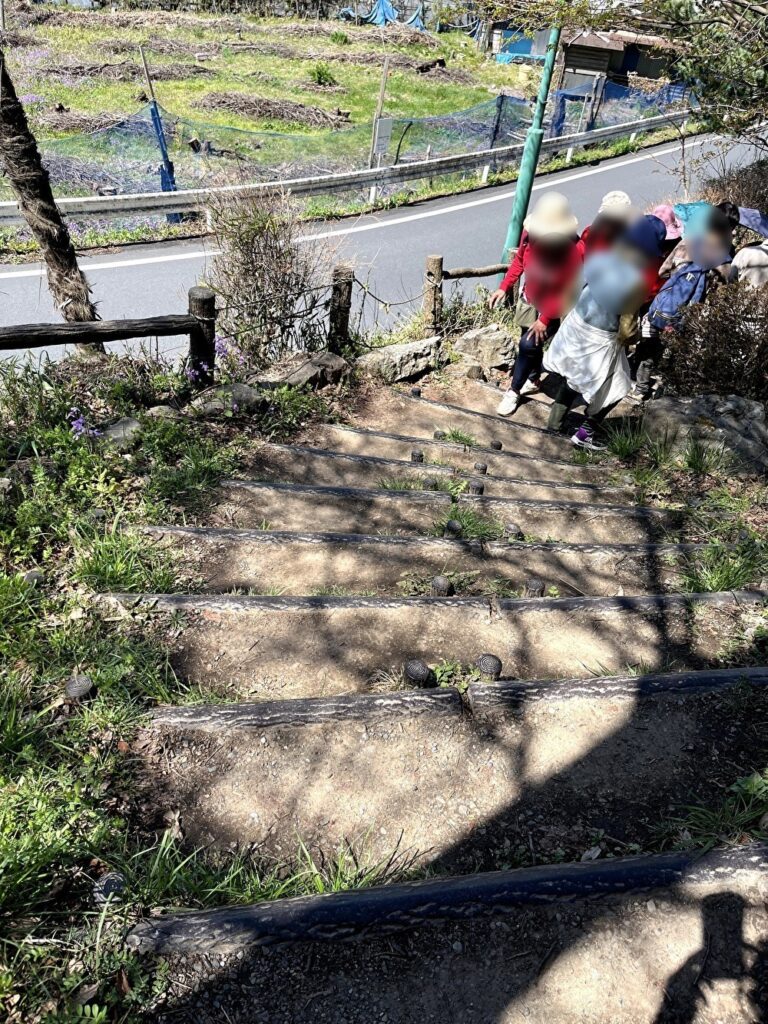 芝桜の丘から御花畑駅への徒歩ルート