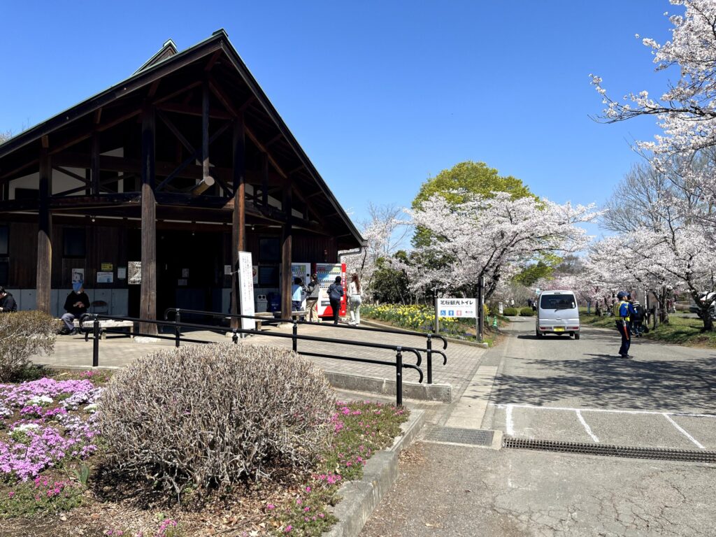 2026年芝桜まつりにて撮影：羊山公園トイレ