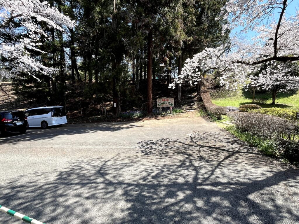 2026年芝桜まつりにて撮影：羊山公園